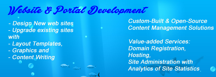 Website and Portal Development