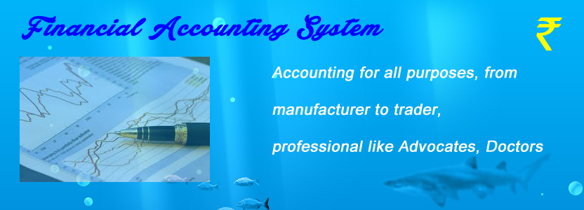 Financial Accounting System