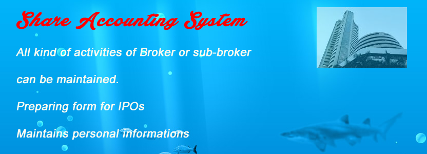 Share Accounting System